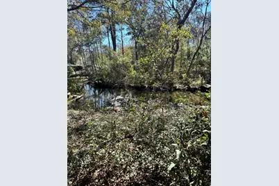 186 Stillwater Road, Freeport, FL 32439 - Photo 9