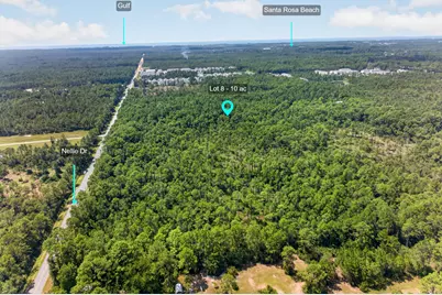 10 Acres Nellie Drive, Santa Rosa Beach, FL 32459 - Photo 13
