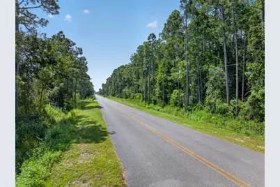10 Acres Nellie Drive, Santa Rosa Beach, FL 32459 - Photo 15