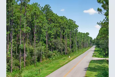 10 Acres Nellie Drive, Santa Rosa Beach, FL 32459 - Photo 11