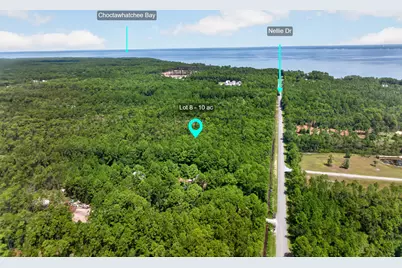 10 Acres Nellie Drive, Santa Rosa Beach, FL 32459 - Photo 7