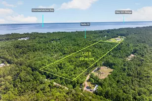 10 Acres Nellie Dr, Santa Rosa Beach, FL 32459 - Photo 1