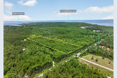 10 Acres Nellie Drive, Santa Rosa Beach, FL 32459 - Photo 3
