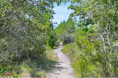 637 Flatwoods Forest Loop, Santa Rosa Beach, FL 32459 - Photo 33
