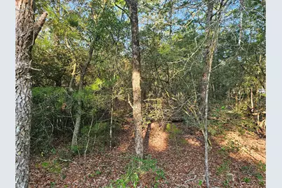 61 Lots Girl Scout Road, Defuniak Springs, FL 32433 - Photo 7
