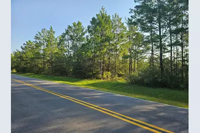 61 Lots Girl Scout Road, Defuniak Springs, FL 32433 - Photo 5