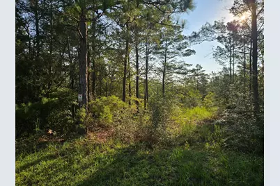 61 Lots Girl Scout Road, Defuniak Springs, FL 32433 - Photo 9