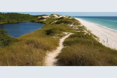 195 Sandhill Pines Drive, Santa Rosa Beach, FL 32459 - Photo 11