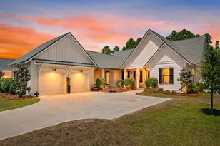 20 W Firethorn Cir, Inlet Beach, FL 32461 - Photo 1