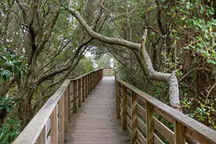345 Morgans Trail, Santa Rosa Beach, FL 32459 - Photo 71