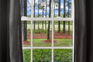 1401 Salamander Trail, Panama City Beach, FL 32413 - Photo 35