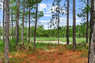 1401 Salamander Trail, Panama City Beach, FL 32413 - Photo 51