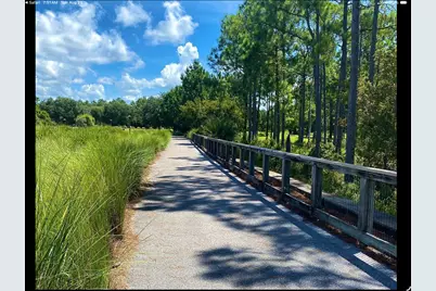 91 Bunting Lane, Inlet Beach, FL 32461 - Photo 21