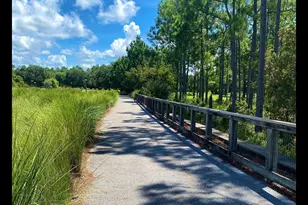 91 Bunting Ln, Inlet Beach, FL 32461 - Photo 21