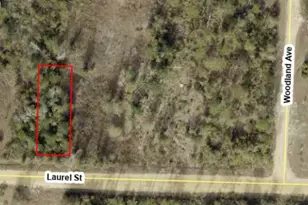 11817 Laurel St, Fountain, FL 32438 - Photo 1