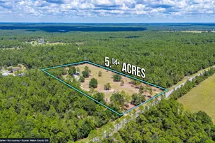 3092 Richardson Rd, Crestview, FL 32539 - Photo 37