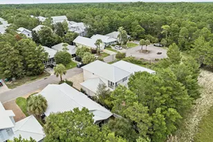 324 Ventana Blvd, Santa Rosa Beach, FL 32459 - Photo 35