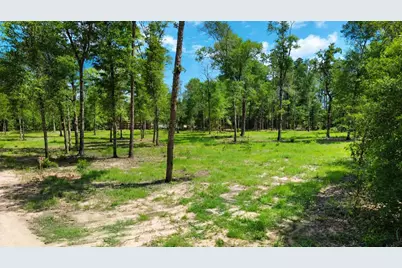 0 N Silver Lake, Marianna, FL 32448 - Photo 1