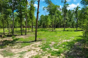 0 N Silver Lake, Marianna, FL 32448 - Photo 1