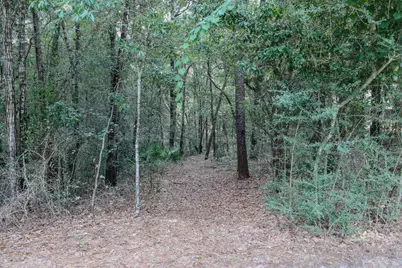 101 Blossom Creek Run, Niceville, FL 32578 - Photo 77