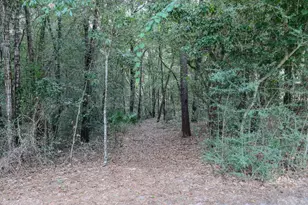 101 Blossom Creek Run, Niceville, FL 32578 - Photo 77