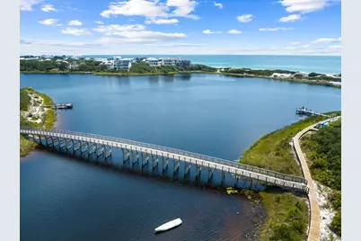 260 Gulf Bridge Lane, Inlet Beach, FL 32461 - Photo 49