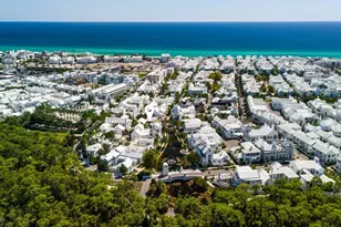 75 Hogpenny Alley, Inlet Beach, FL 32461 - Photo 71