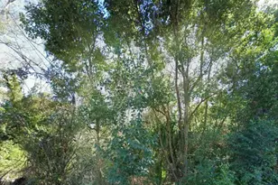906 N Harris Ave, Panama City, FL 32401 - Photo 1
