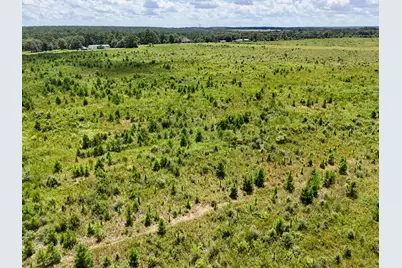 10 Acres F Davidson Road, Defuniak Springs, FL 32433 - Photo 9