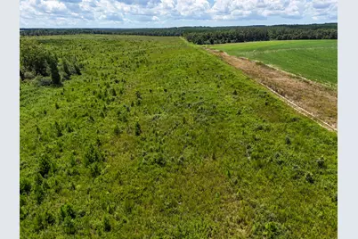 10 Acres F Davidson Road, Defuniak Springs, FL 32433 - Photo 7
