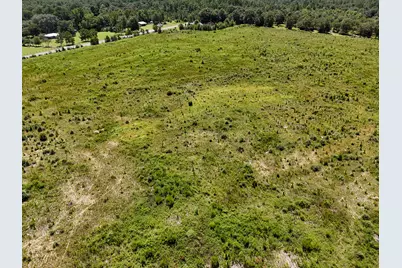 10 Acres F Davidson Road, Defuniak Springs, FL 32433 - Photo 13