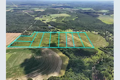 10 Acres F Davidson Road, Defuniak Springs, FL 32433 - Photo 19