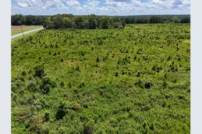 10 Acres F Davidson Road, Defuniak Springs, FL 32433 - Photo 5