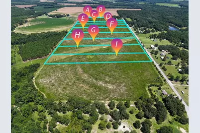 10 Acres F Davidson Road, Defuniak Springs, FL 32433 - Photo 15