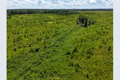 10 Acres F Davidson Road, Defuniak Springs, FL 32433 - Photo 3