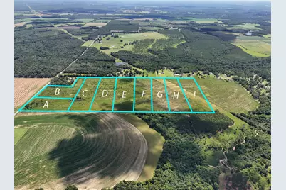 10 Acres G Davidson Road, Defuniak Springs, FL 32433 - Photo 1