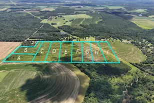 10 Acres G Davidson Rd, Defuniak Springs, FL 32433 - Photo 1