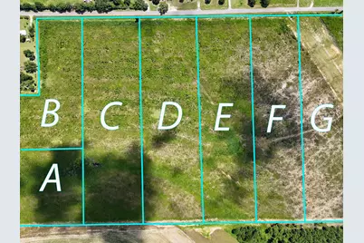 10 Acres G Davidson Road, Defuniak Springs, FL 32433 - Photo 21