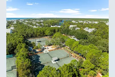 36 Thicket Circle, Santa Rosa Beach, FL 32459 - Photo 45