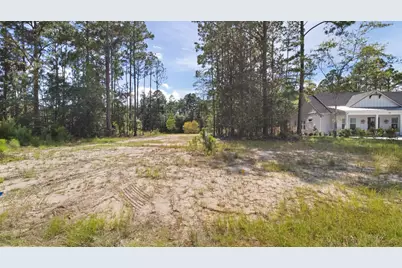 Lot 22 W Captain Fritz Way, Freeport, FL 32439 - Photo 5
