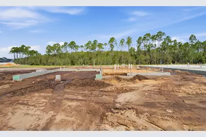 1094 Suwannee Drive #Lot 49, Watersound, FL 32461 - Photo 3