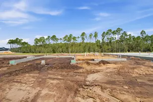 1094 Suwannee Dr, Watersound, FL 32461 - Photo 3