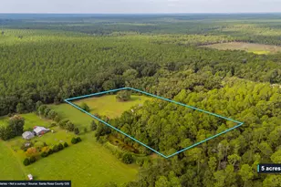 10406 Double R Ranch Rd, Holt, FL 32564 - Photo 27