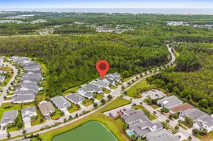 246 Naturewalk Blvd, Inlet Beach, FL 32461 - Photo 47