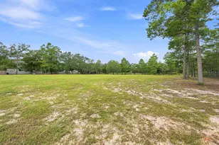 377 Wagner Dr, Defuniak Springs, FL 32433 - Photo 49
