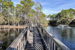 111 Cassine Garden Cir, Santa Rosa Beach, FL 32459 - Photo 33