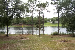 141 Silk Oak Dr, Defuniak Springs, FL 32433 - Photo 9