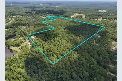 45 Acres John White Road, Defuniak Springs, FL 32435 - Photo 1