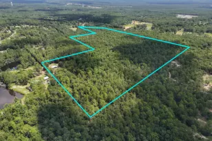 45 Acres John White Rd, Defuniak Springs, FL 32435 - Photo 1