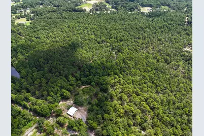 45 Acres John White Road, Defuniak Springs, FL 32435 - Photo 7